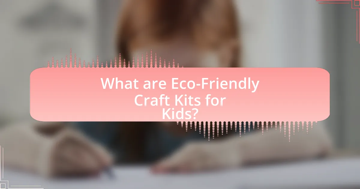 What are Eco-Friendly Craft Kits for Kids?