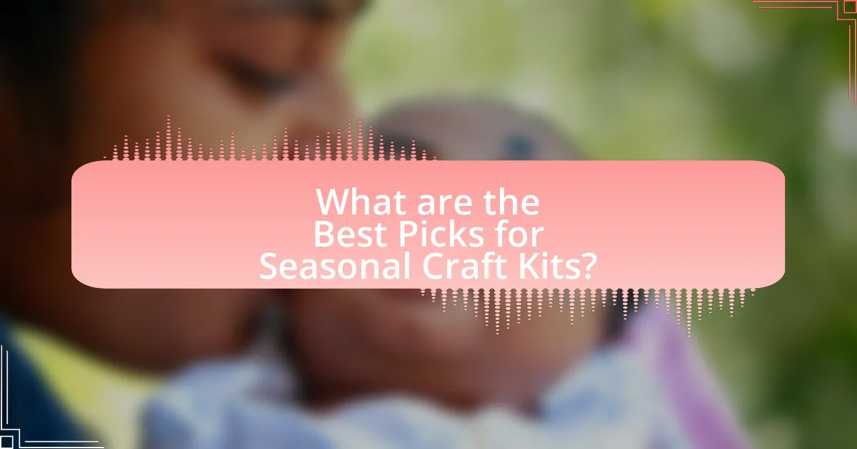 What are the Best Picks for Seasonal Craft Kits?