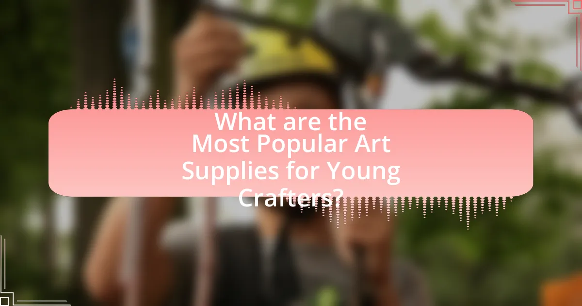 What are the Most Popular Art Supplies for Young Crafters?